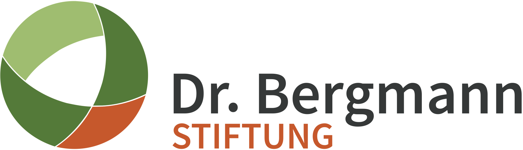Logo_Bergmann-rgb